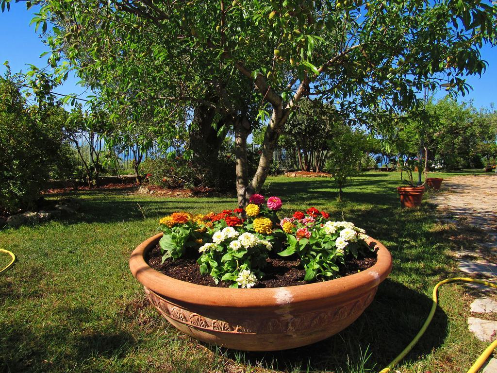 Relais Pian Delle Starze 4* Marina di Camerota